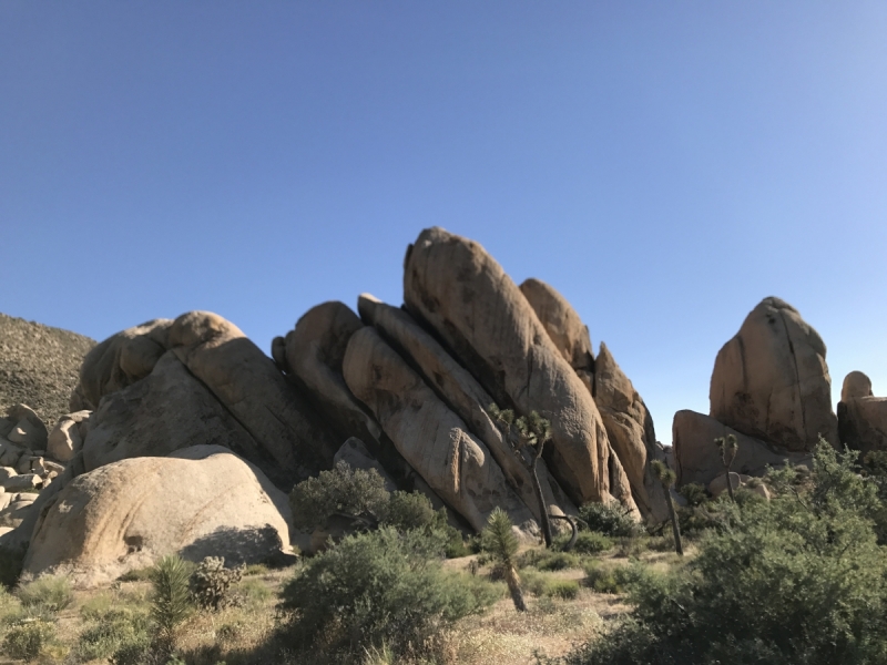 Большие города . Запад и Восток США