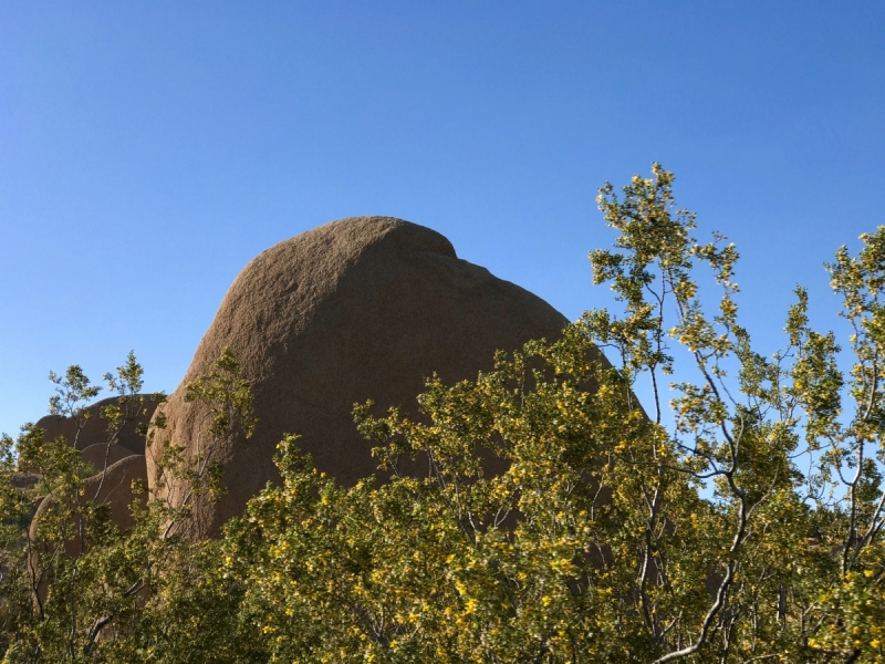 Большие города . Запад и Восток США