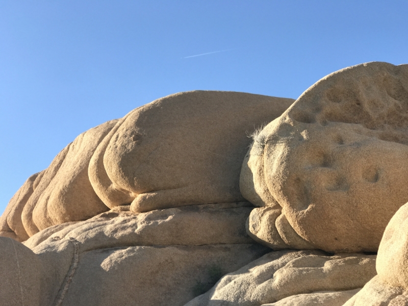 Большие города . Запад и Восток США