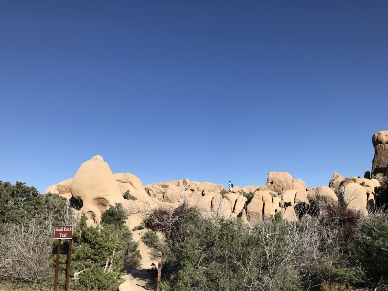 Большие города . Запад и Восток США