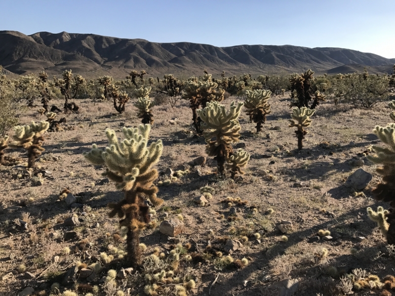 Большие города . Запад и Восток США