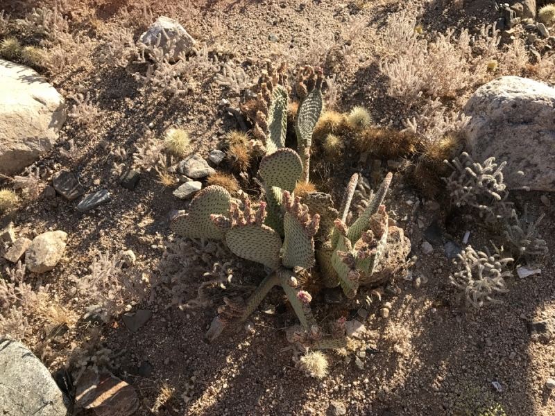 Большие города . Запад и Восток США