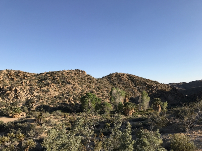 Большие города . Запад и Восток США