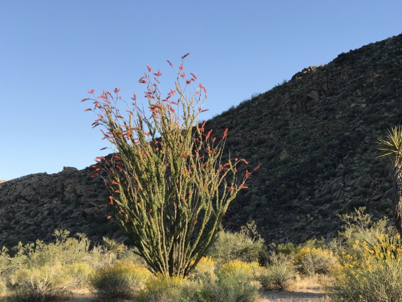 Большие города . Запад и Восток США