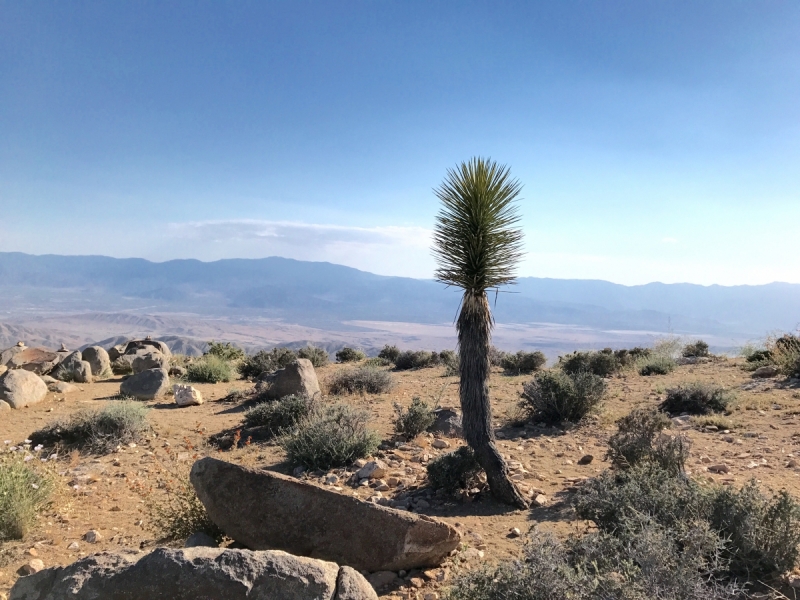 Большие города . Запад и Восток США