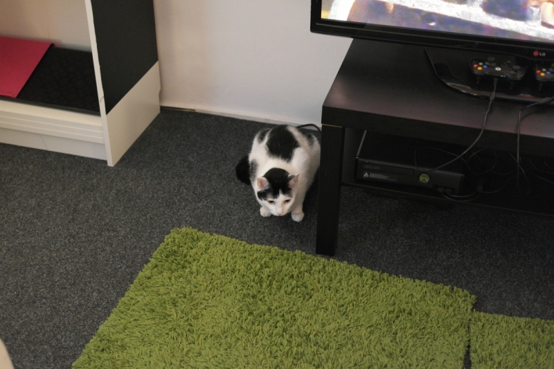 Где вкусно и недорого поесть в Праге