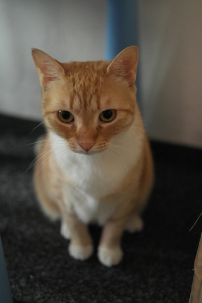 Где вкусно и недорого поесть в Праге