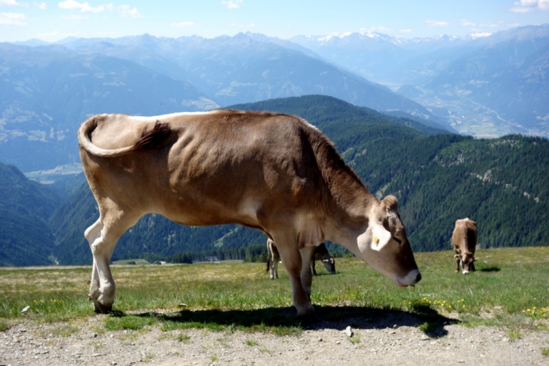 Земля Каринтия (Bundesland Kärnten)