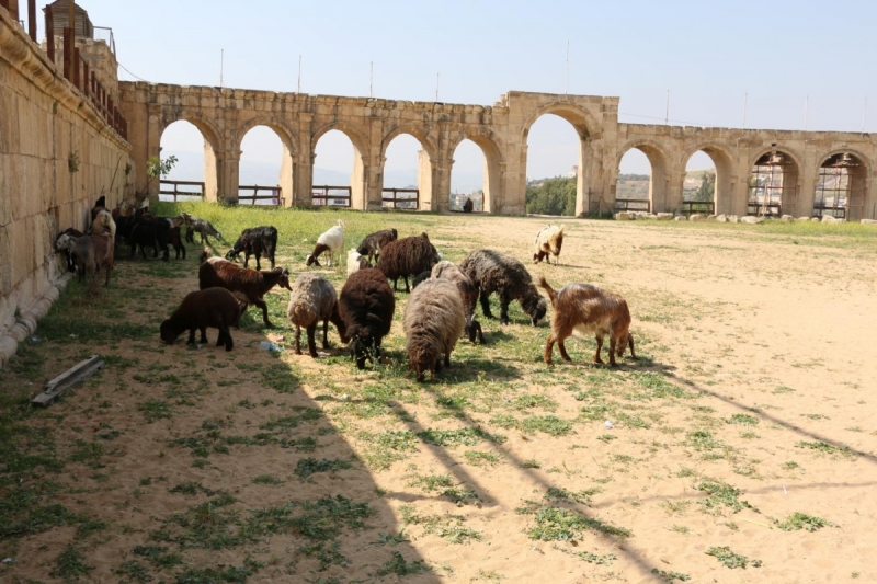 По обе стороны реки Иордан на пасху 2017: Иордания и Израиль