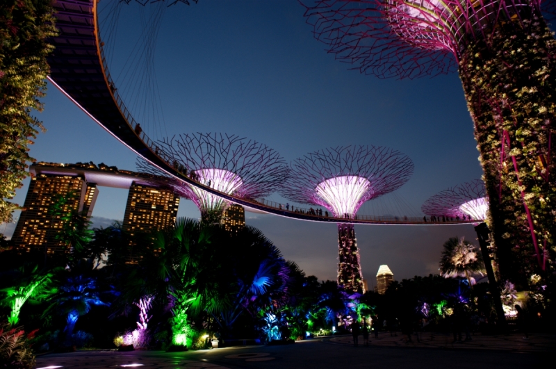 Шесть дней в Сингапуре.
