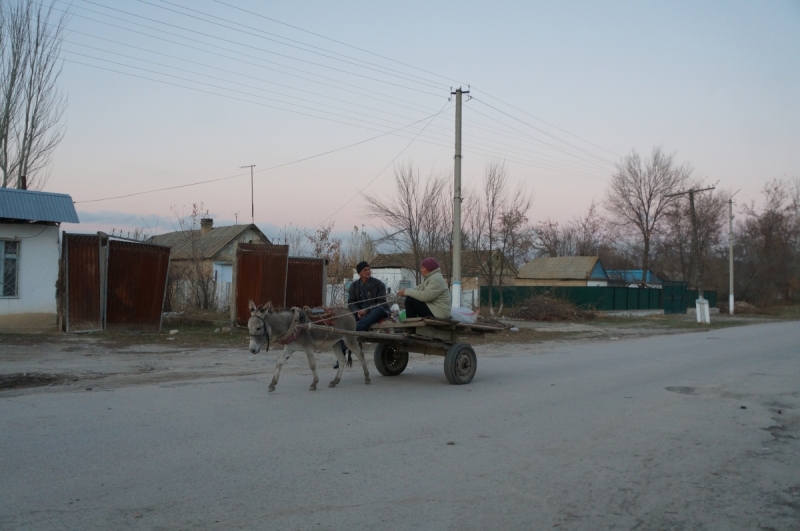 Киргизия: из Бишкека до Иркештама с дальнобойщиками, ноябрь 2016