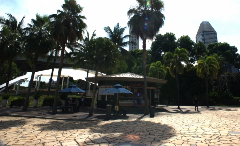 Шесть дней в Сингапуре.