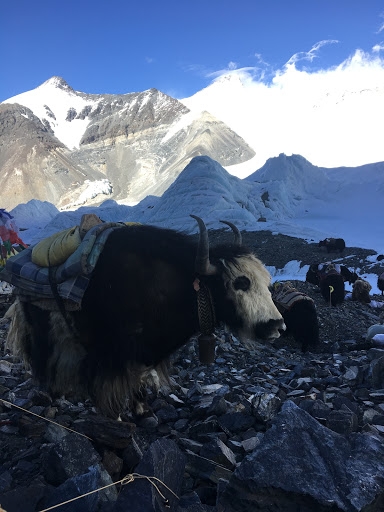Восхождение на Эверест (#Everest2017 or There and Back Again)
