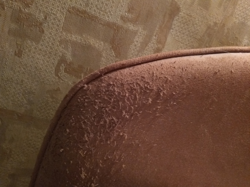 Кошки в нашей жизни. Кошки и все, что с ними связано.