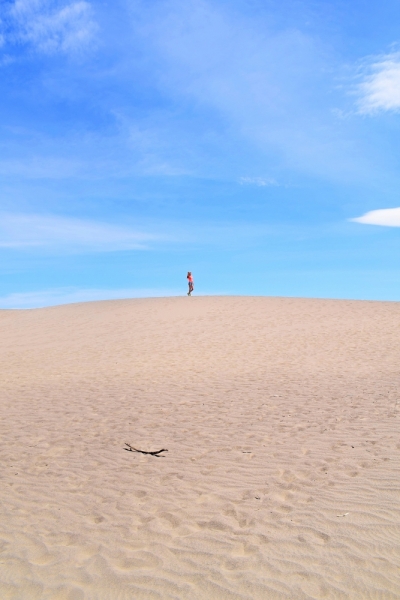 Мечты должны сбываться: частичка запада США за 15 дней