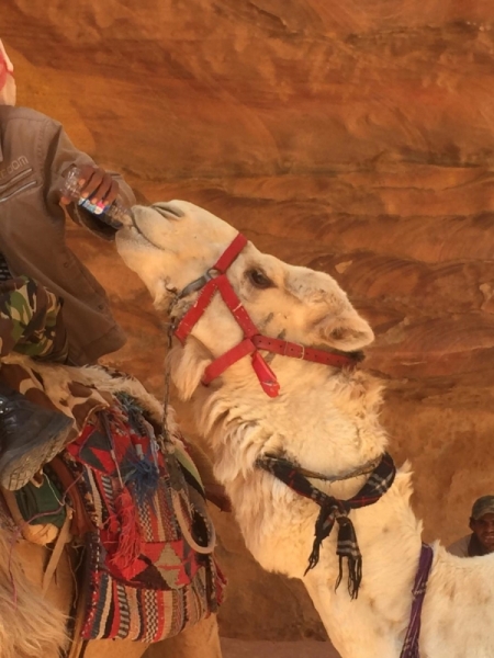 По обе стороны реки Иордан на пасху 2017: Иордания и Израиль