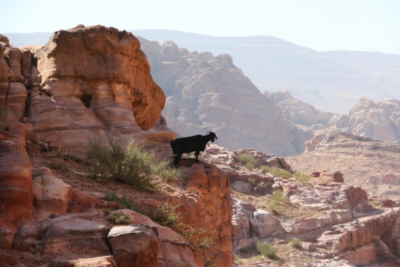 По обе стороны реки Иордан на пасху 2017: Иордания и Израиль