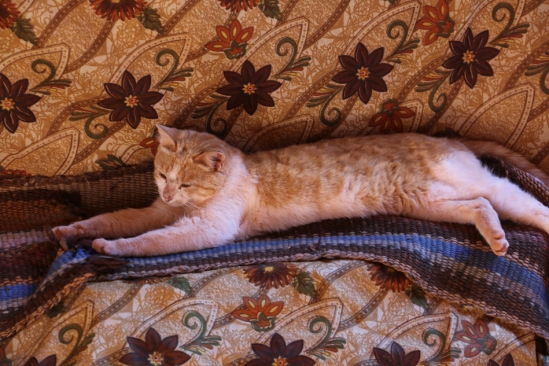 По обе стороны реки Иордан на пасху 2017: Иордания и Израиль