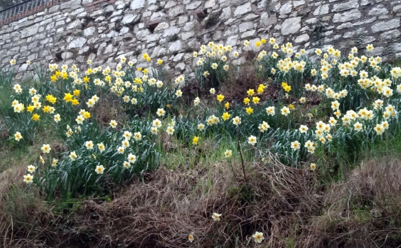 Случайная Италия. Просто погулять. Бергамо-Больцано-Брешиа, март 2017.