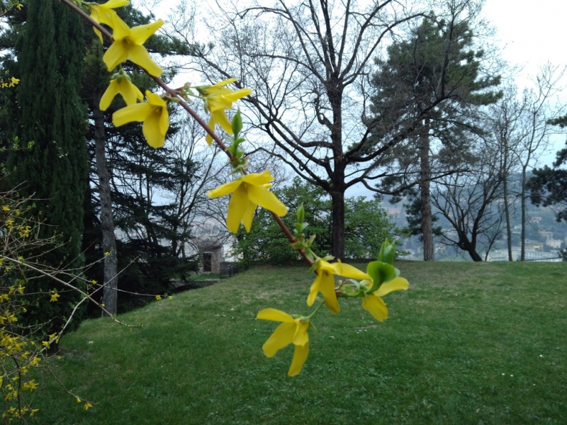 Случайная Италия. Просто погулять. Бергамо-Больцано-Брешиа, март 2017.