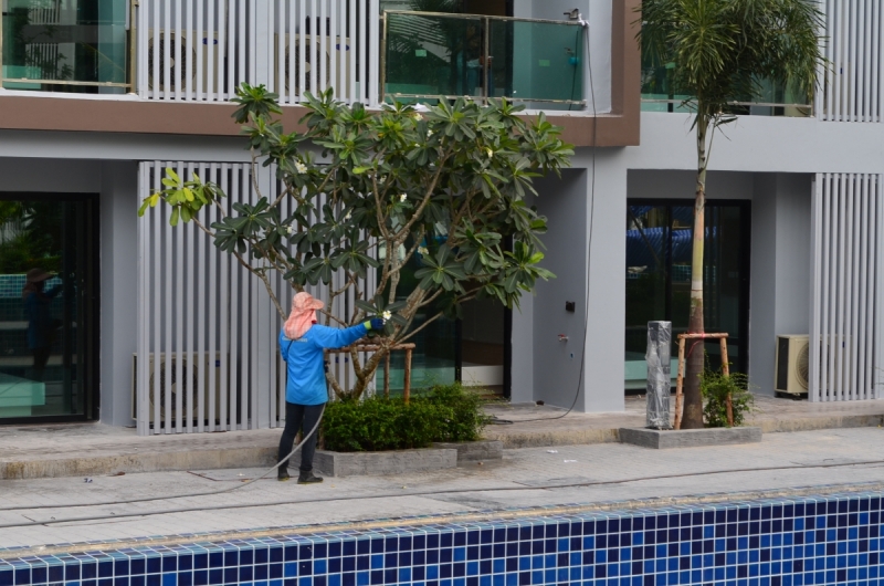 Dusit Grang Park Паттайя