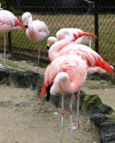 Изображение 3131.jpg