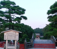 Изображение 883.jpg