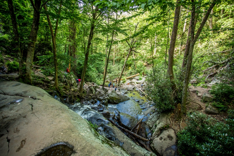 Great Smoky Mountains - жемчужина восточного побережья