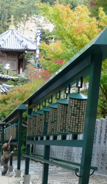 Изображение 250.jpg