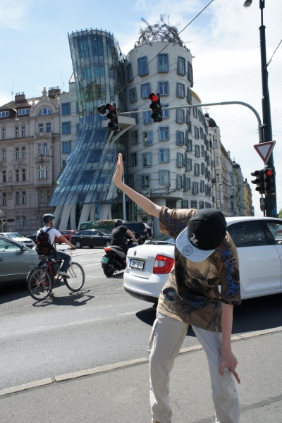 Из Петербурга в Берлин, Прагу, Братиславу, Вену