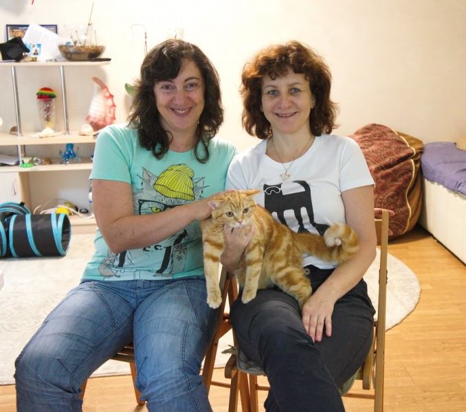 Кошки в нашей жизни. Кошки и все, что с ними связано.