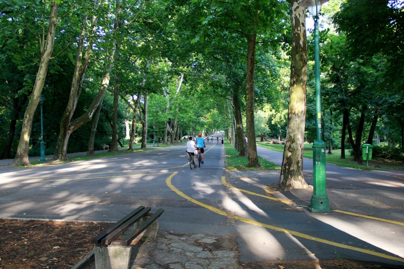 На отдых в Венгрию через Румынию. Июнь 2017