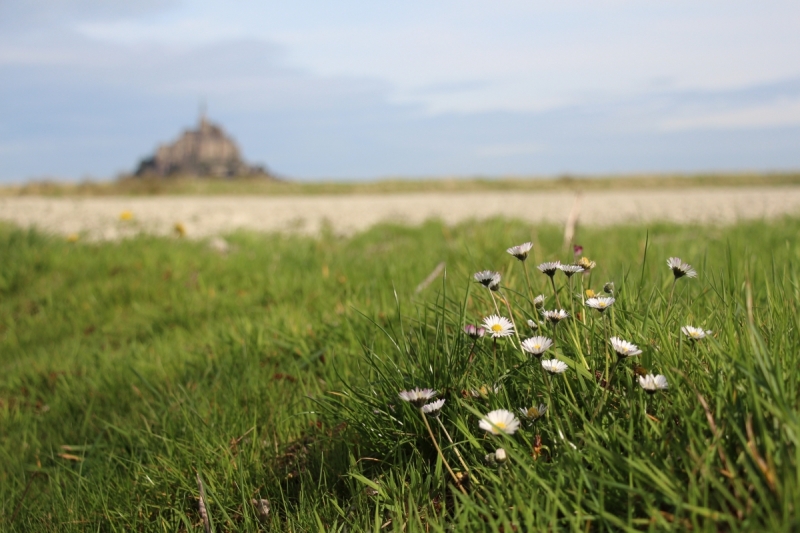 Хрустальные замки, фахверковые города