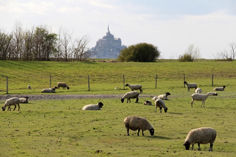 Хрустальные замки, фахверковые города