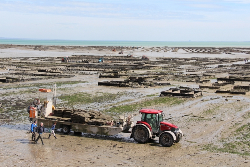 Хрустальные замки, фахверковые города