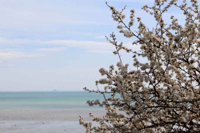 Хрустальные замки, фахверковые города