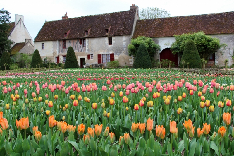 Хрустальные замки, фахверковые города