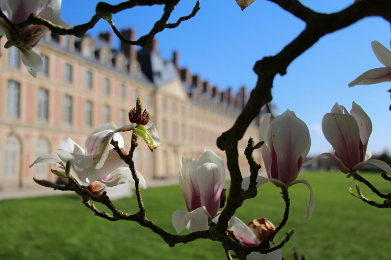 Хрустальные замки, фахверковые города