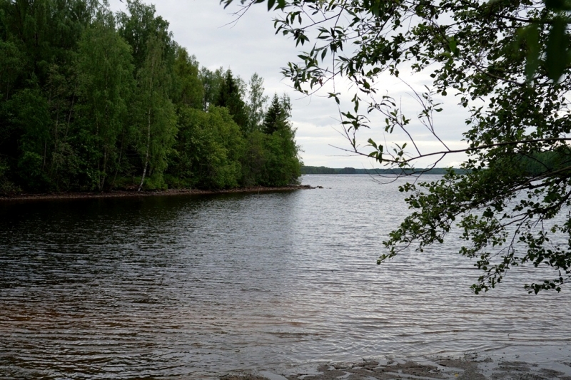 2017, июнь. Опыты по выращиванию туриста. Опыт №9 - из блокадного Ленинграда к жемчужинам Ладоги (Рускеала, Валаам, Тервеничи, свирские вепсы и т.д.)