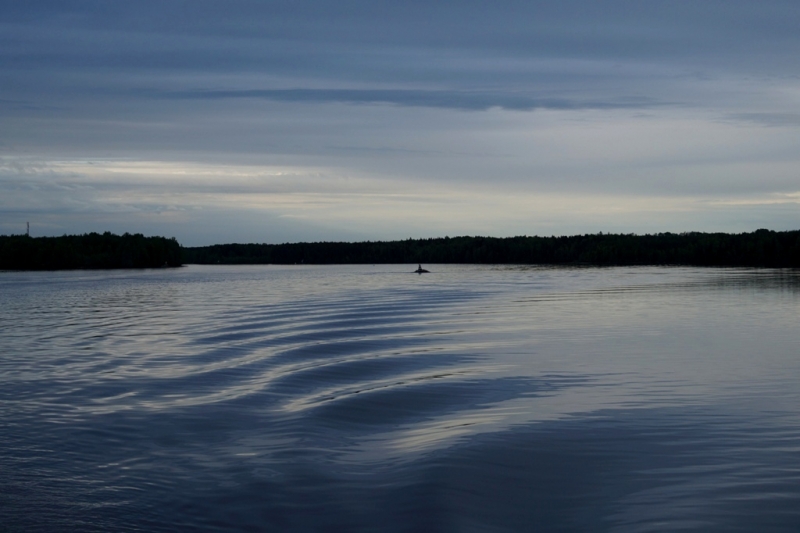 2017, июнь. Опыты по выращиванию туриста. Опыт №9 - из блокадного Ленинграда к жемчужинам Ладоги (Рускеала, Валаам, Тервеничи, свирские вепсы и т.д.)