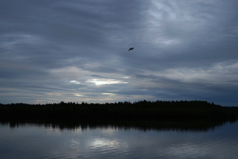 2017, июнь. Опыты по выращиванию туриста. Опыт №9 - из блокадного Ленинграда к жемчужинам Ладоги (Рускеала, Валаам, Тервеничи, свирские вепсы и т.д.)