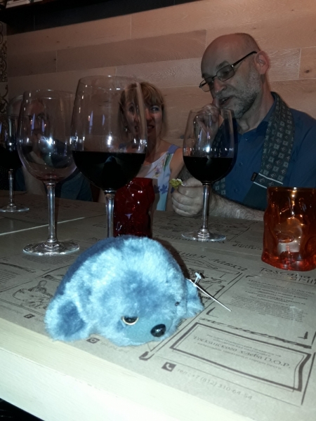 Кошки в нашей жизни. Кошки и все, что с ними связано.