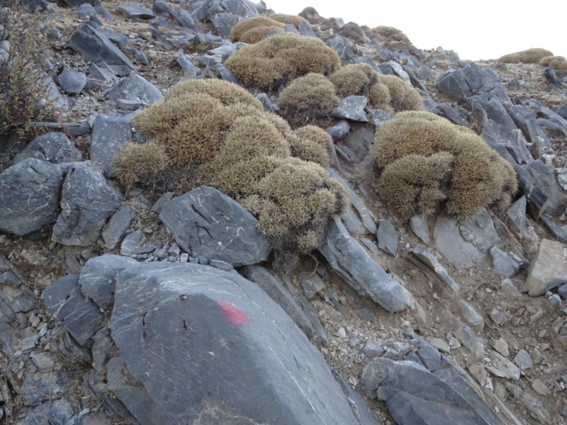 Горы Западного Крита, Лефка Ори октябрь 2016