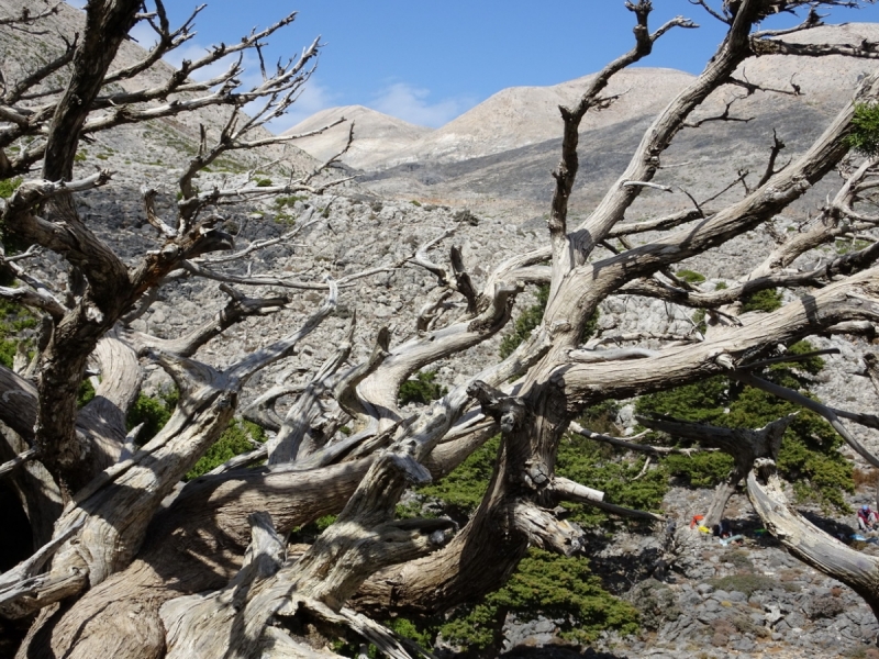 Горы Западного Крита, Лефка Ори октябрь 2016