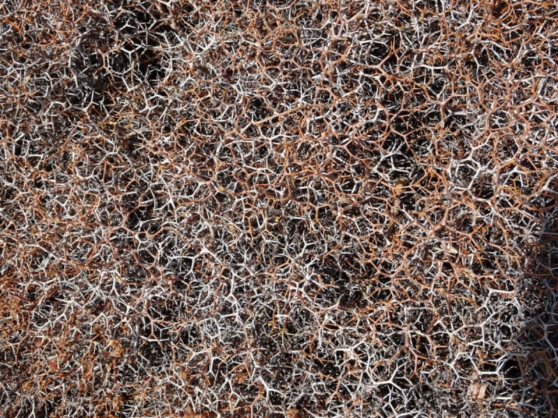 Горы Западного Крита, Лефка Ори октябрь 2016