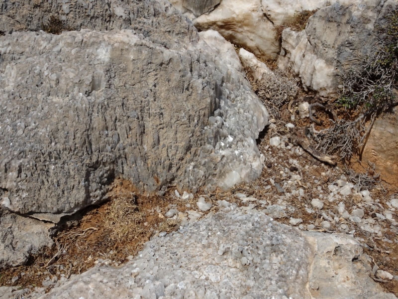 Горы Западного Крита, Лефка Ори октябрь 2016