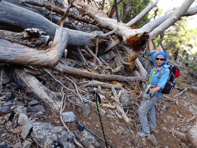 Горы Западного Крита, Лефка Ори октябрь 2016
