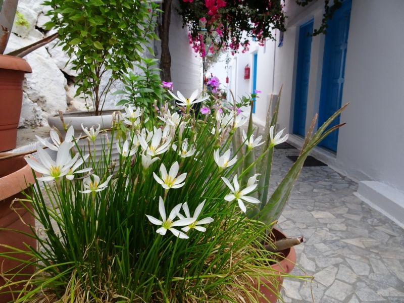 Горы Западного Крита, Лефка Ори октябрь 2016