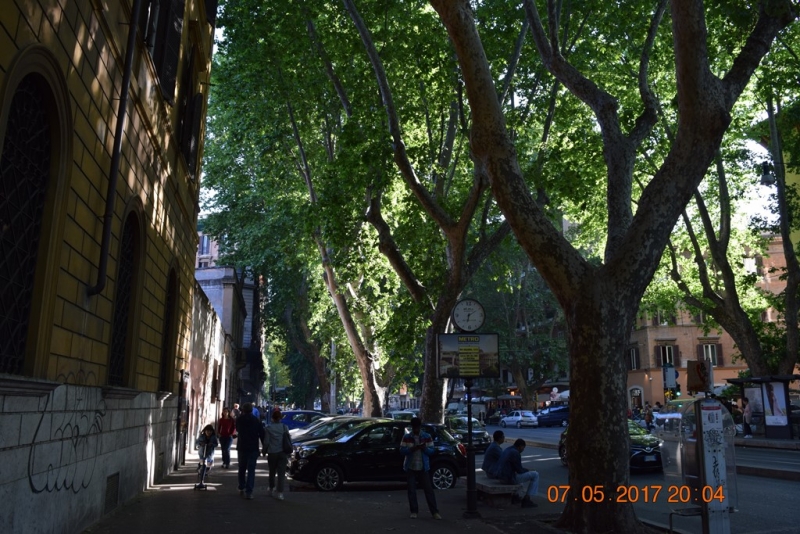 Италия от Венеции до Сиракузы за 15 дней на самолётах, поездах, паромах, автобусе и автомобиле.