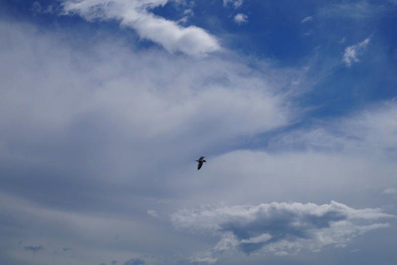 2017, июнь. Опыты по выращиванию туриста. Опыт №9 - из блокадного Ленинграда к жемчужинам Ладоги (Рускеала, Валаам, Тервеничи, свирские вепсы и т.д.)